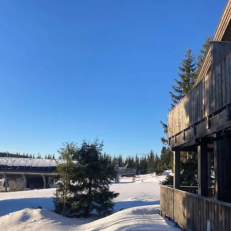 Apartment Modern Ap Next To The Stadium, Alpine Slope Sjusjoen