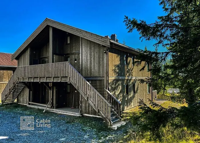 In Out, Storage, Wifi, Grill & Fireplace, Modern Apartment! Sjusjoen